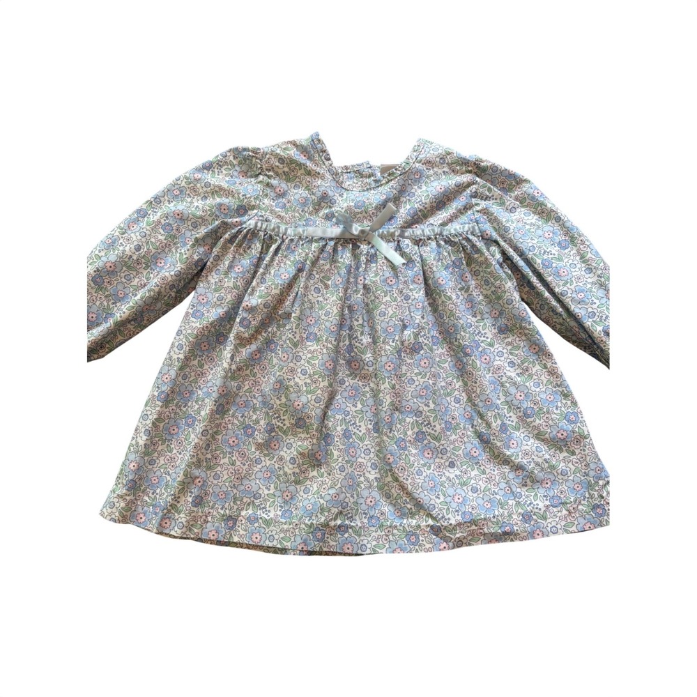Stitchy Fish Girls 2T Blue Floral Long Sleeve Cotton Empire Waist Top